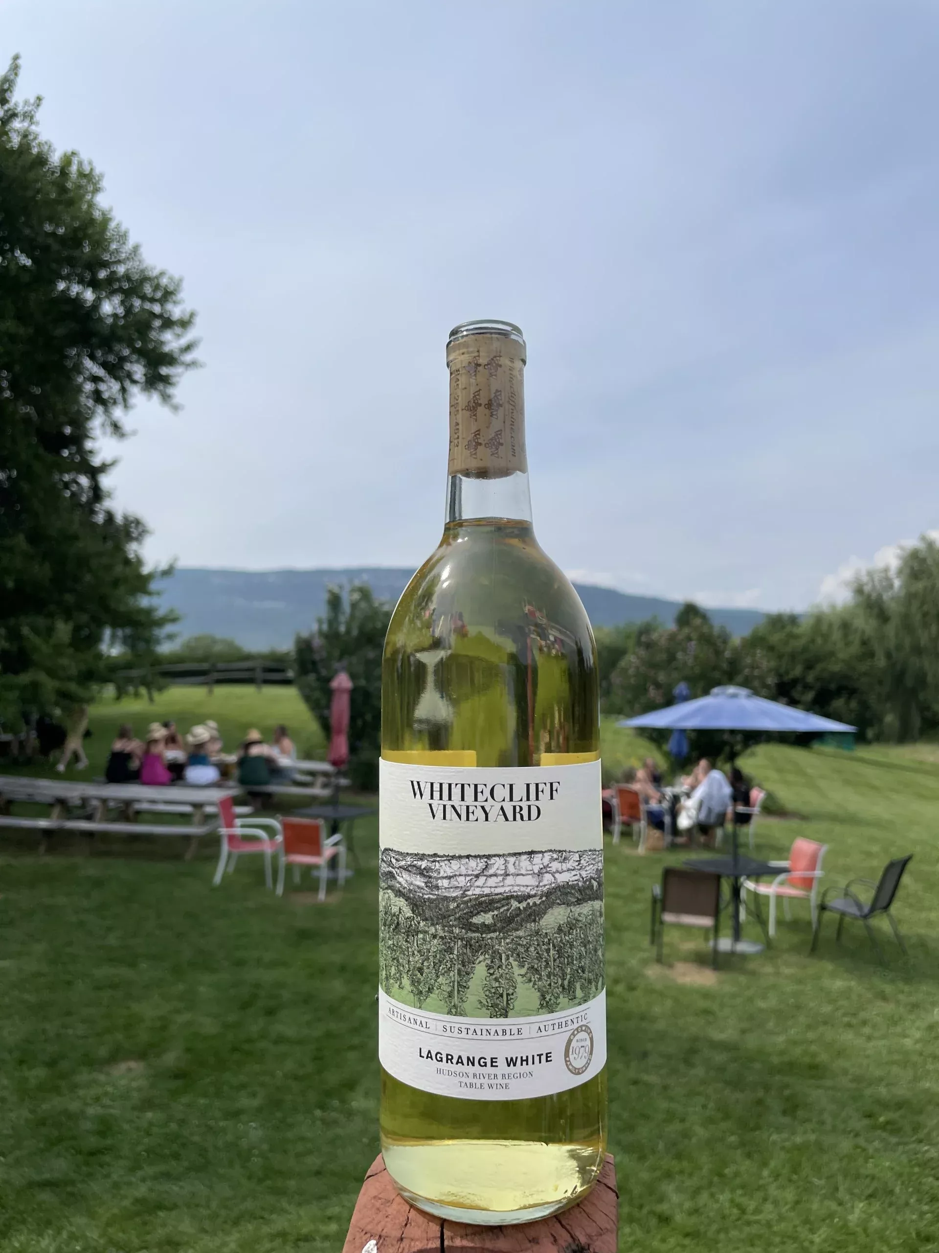 Whitecliff Vineyard LaGrange White NV
