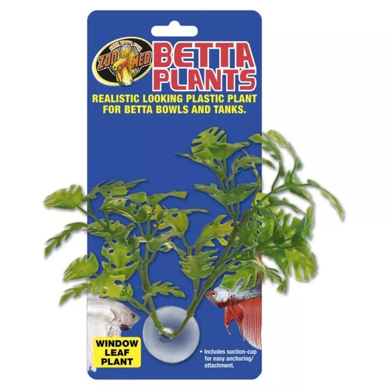 Zoo Med Betta Plant – Window Leaf Plant